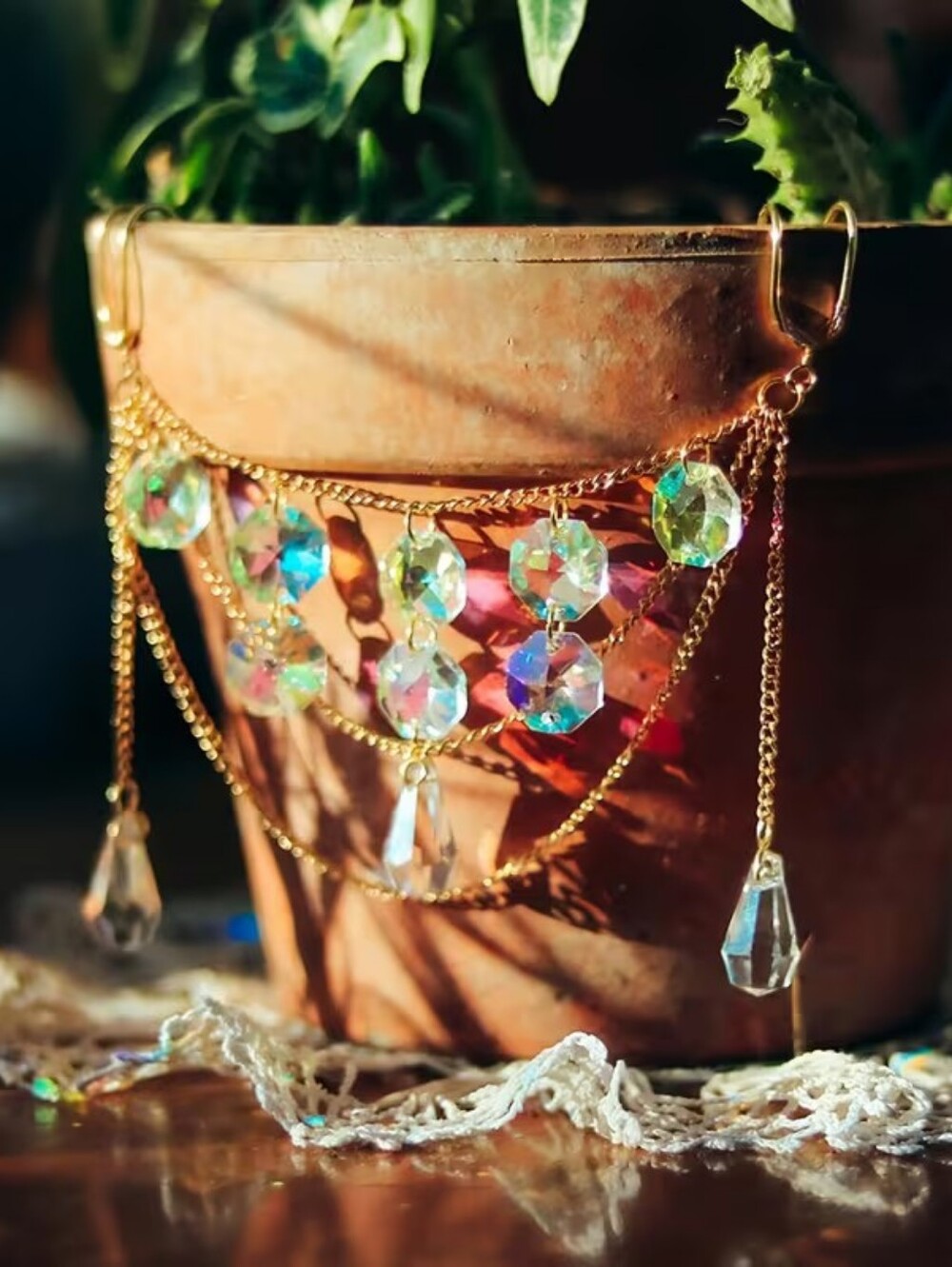 Plant Bling - Picture 4 of 6